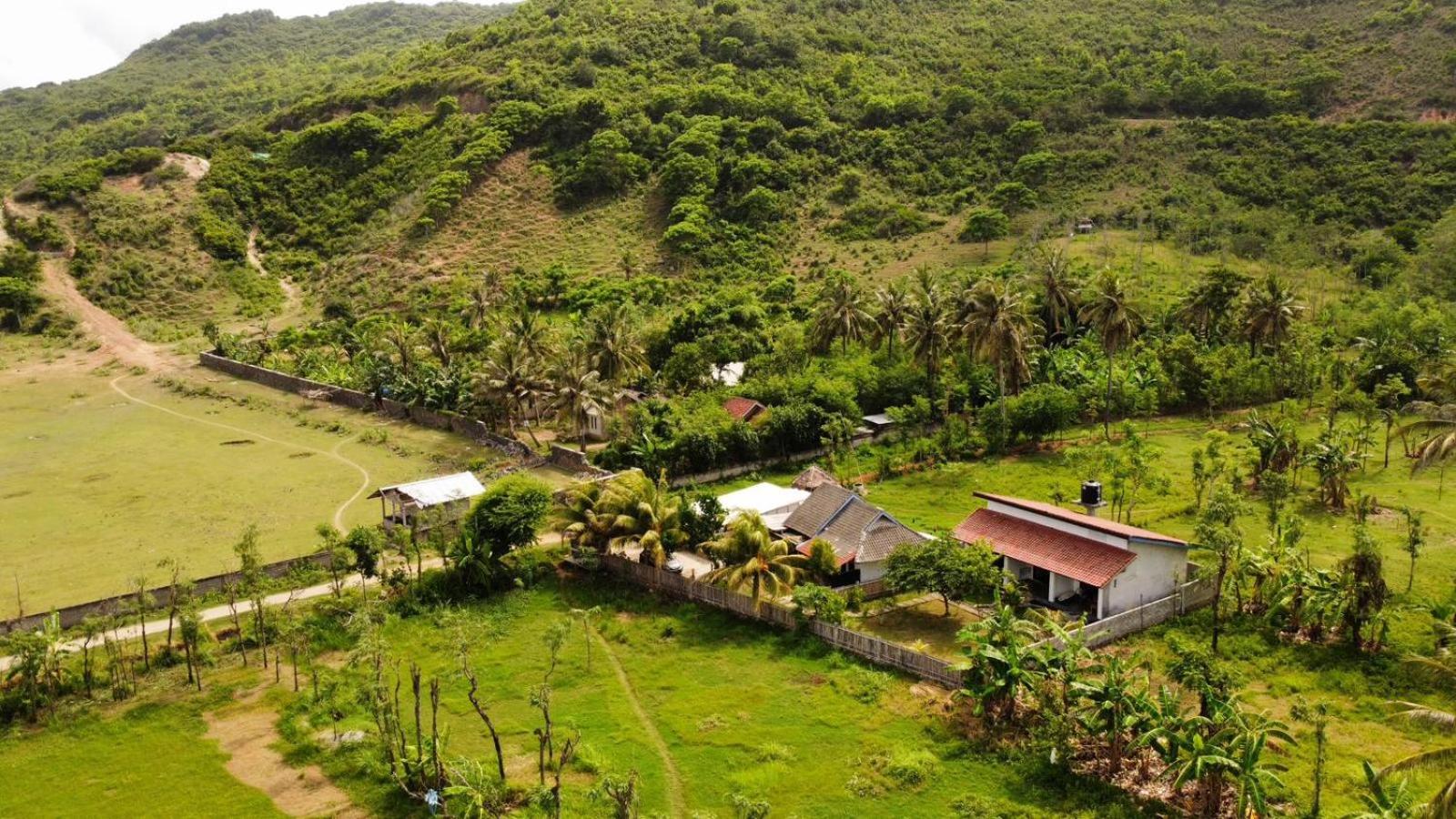 Homestay Barrel Areguling Kuta (Lombok)